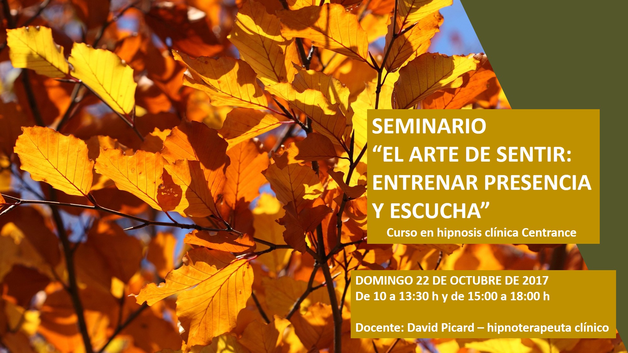 Seminario "El arte de entrenar presencia y escucha" - póster