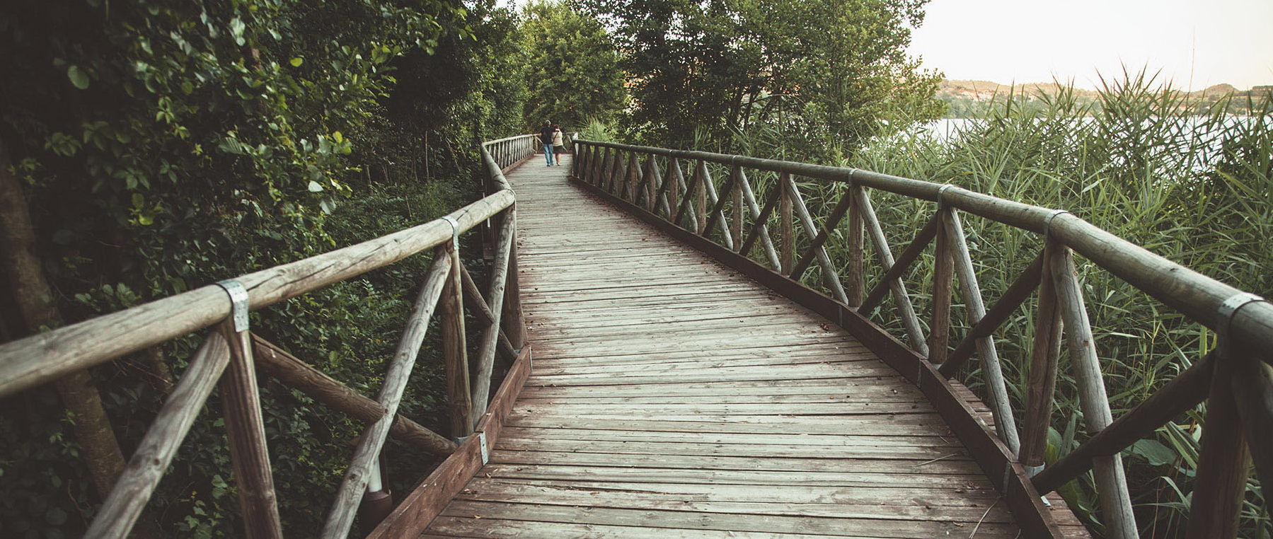camino